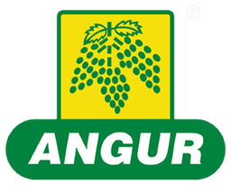 Angur